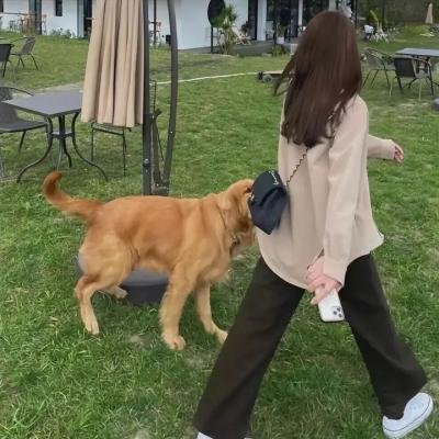 捉鬼有限公司
