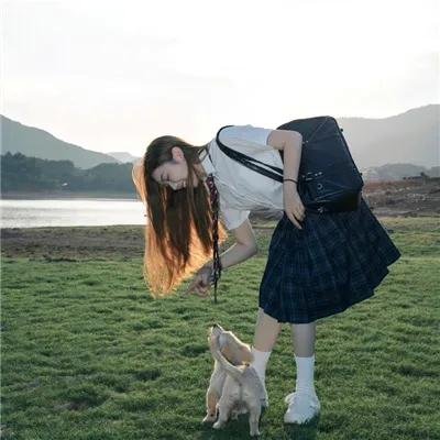 小太阳达芬妮